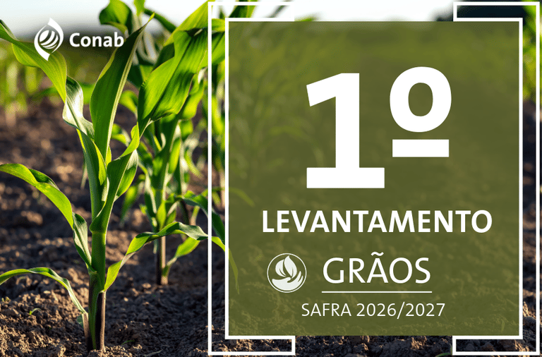 Primeiro levantamento da safra de grãos 2026/27 estima produção acima de 367 milhões de toneladas